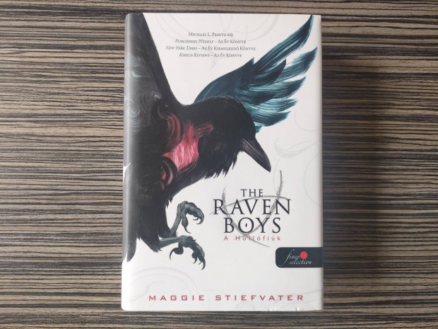 Maggie Stiefvater: A Hollófiúk