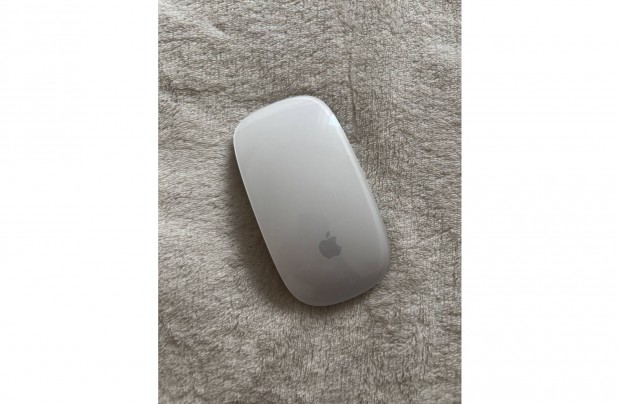 Magic Mouse (Apple)