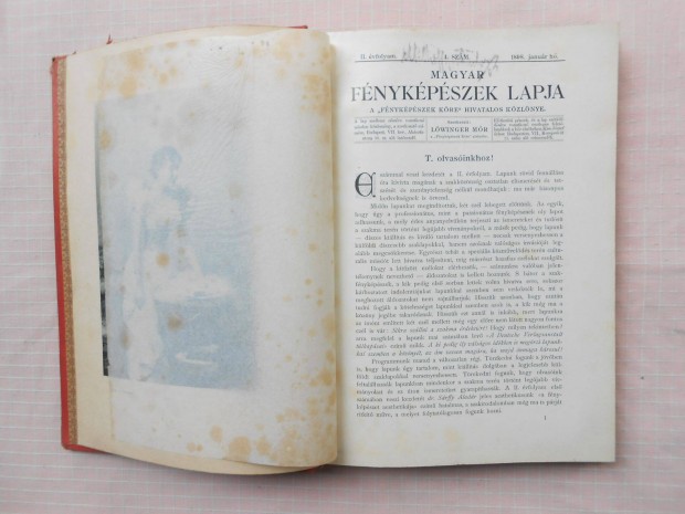 Magyar Fnykpszek Lapja 1898. II. vf