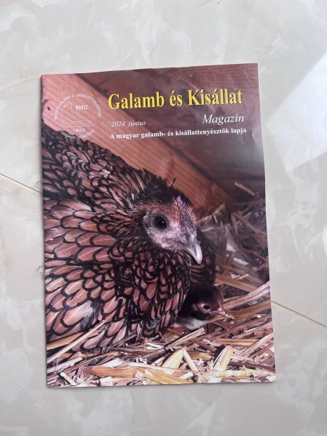 Magyar Galamb s Kisllat Magazin