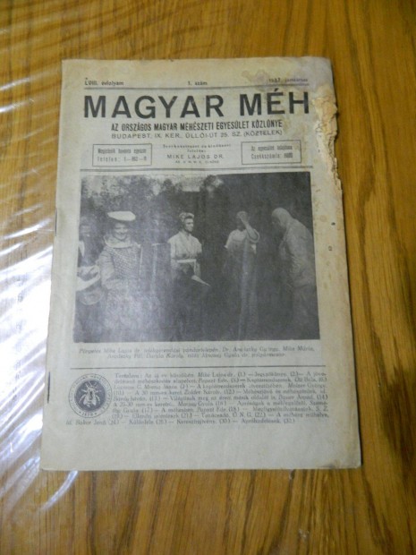 Magyar Mh 1937, 1937