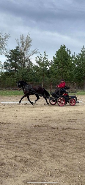 Magyar Sportl