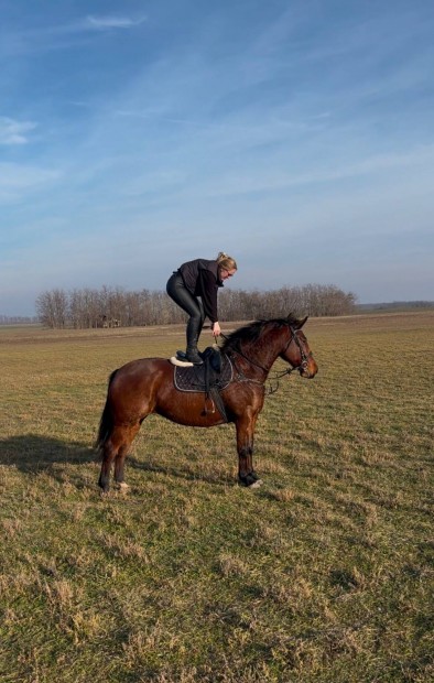 Magyar flvr kanca