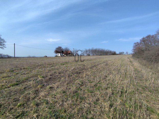 Magyaralm�s �reghegy�n z�rtkerti telek elad�!