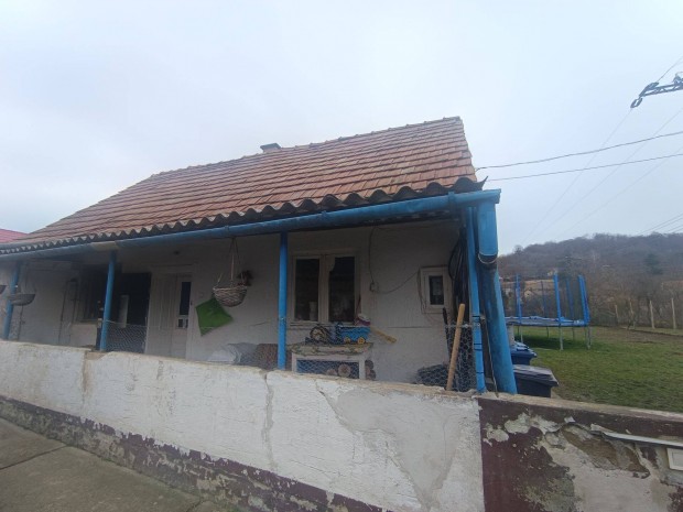 Magyaregregyen csal�di h�z elad�