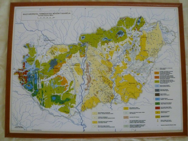Magyarorszg termszetes nvnytakarja trkp