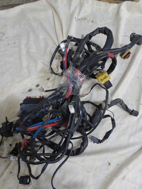 Malaguti Blog k�belk�teg