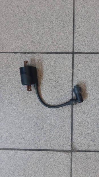 Malaguti Madison 250 trafó