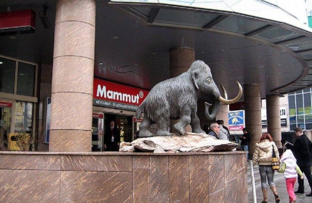 Mammut 1 bevsrl kzpontban frekventlt zlet kiad!