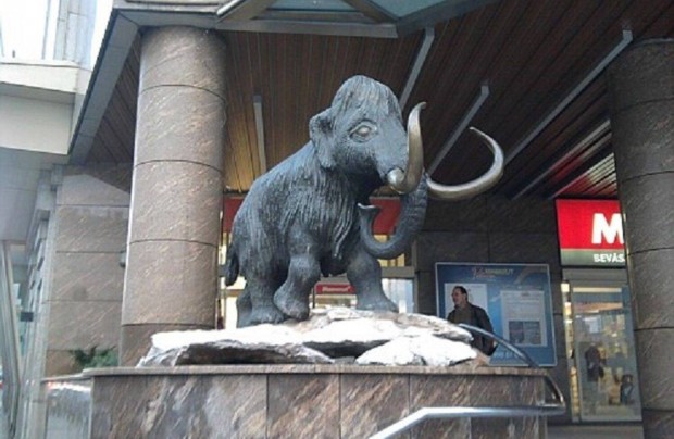 Mammut 1 bevásárlóközpontban üzlethelyiség Tulajdon joga Eladó!
