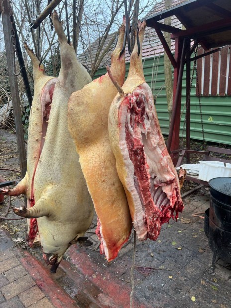 Mangalica hz ea. pucolva konyhakszen is. Sifok szlltsban segte