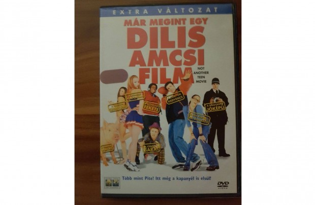 Mr Megint Egy Dilis Amcsi Film DVD