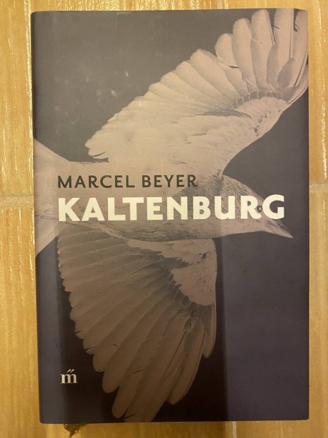 Marcel Beyer: Kaltenburg