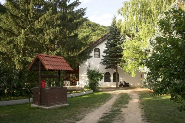 M�rk�i 470 nm-es panzi� elad�