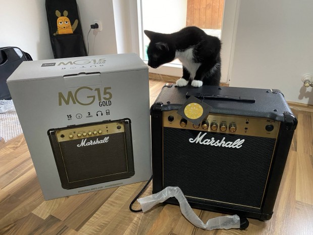 Marshall MG15 Gold gitr erst/komb