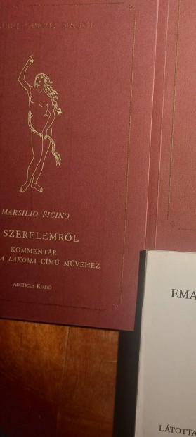 Marsilio Ficino A szerelemről