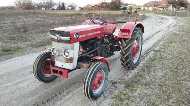 Massey Ferguson 130-as traktor ltetvnyesben flia storba