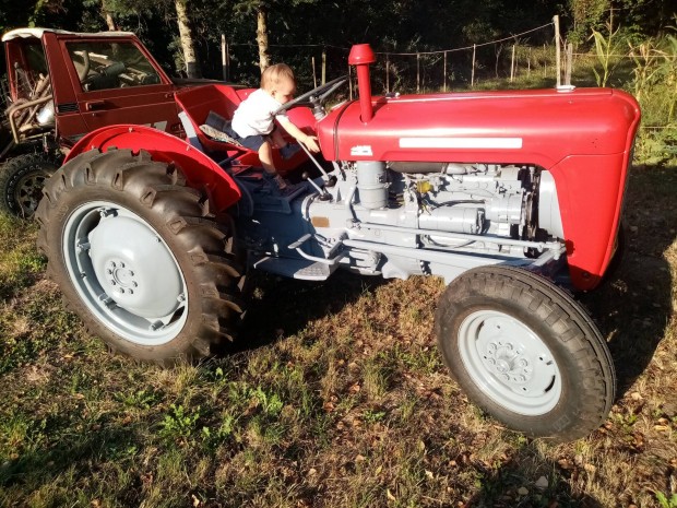 Massey ferguson mf35 