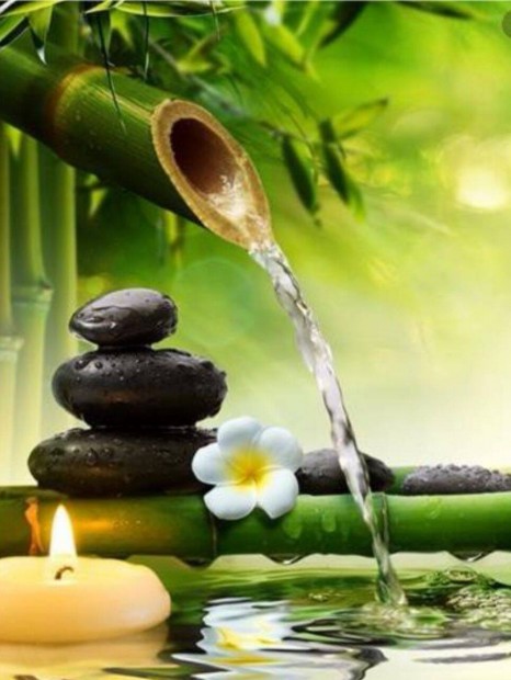 Massz�zs munk�hoz koll�gan�t keresek