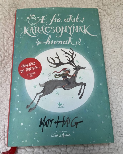 Matt Haig: A fi, akit Karcsonynak hvnak