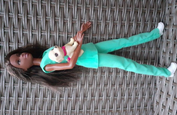 Mattel Barbie Doktorn Kutyussal