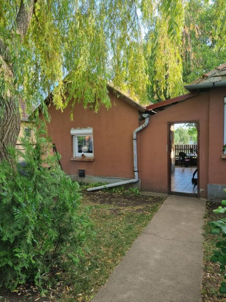 M�ty�sdombi csal�di haz