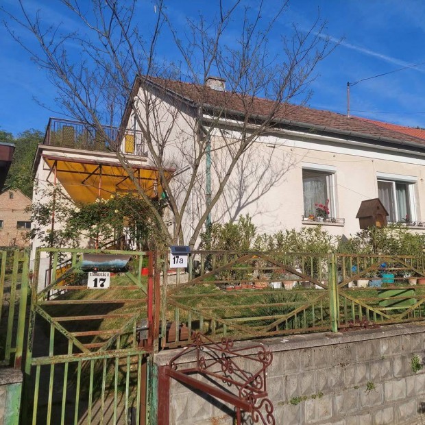 M�z�n elad� h�z