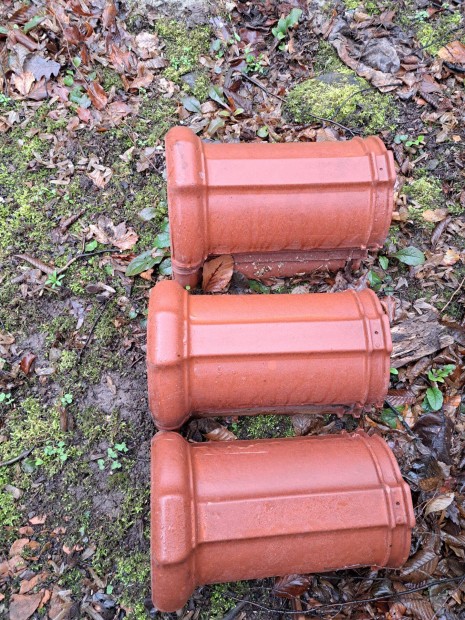 M�zas jamina k�pcser�p