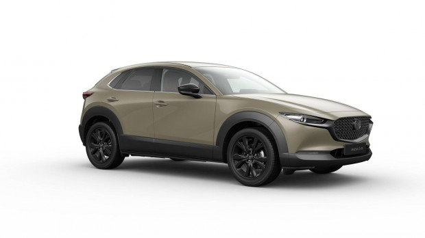 Mazda CX-30 2.5 e-Skyactive Nagisa Navi! Mrkek...