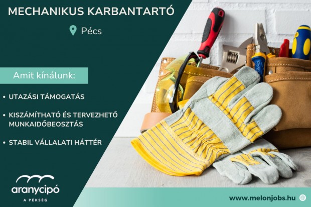 Mechanikus karbantartó