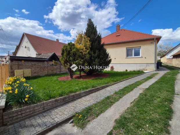 Mecsekn�dasdi elad� 146 nm-es h�z