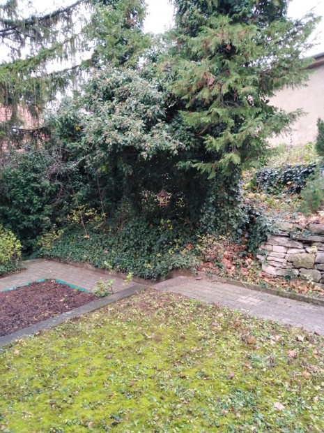 Mecsekoldal-belv�ros, 3 szob�s b�torozatlan lak�s kiad�