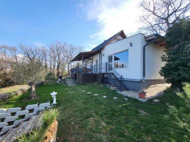 Mecsekoldali elegancia