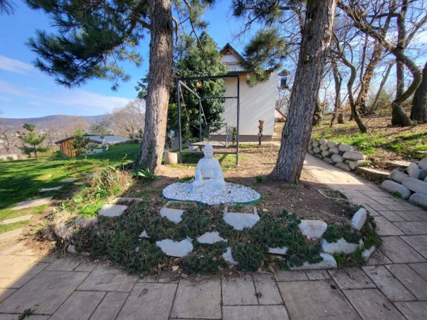 Mecsekoldali elegancia