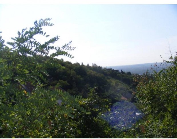 Mecsekoldalon kett panorms ptsi telek elad! Szkely Bertalan u