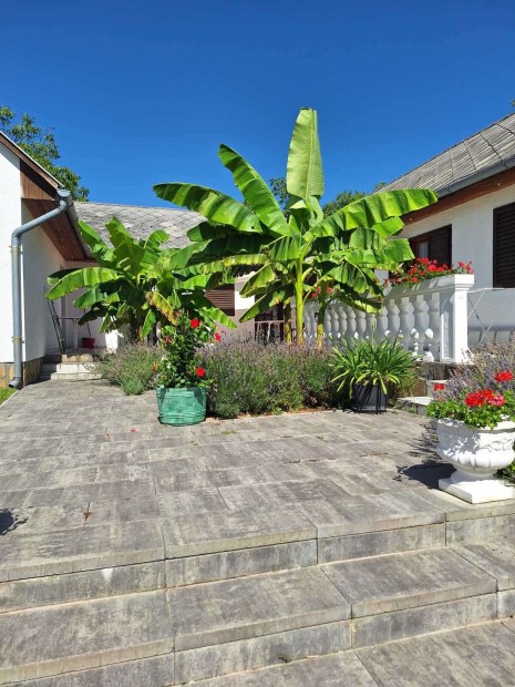 Medenc�s �d�l�komplexum �s k�l�n�ll� csal�di h�z Vonyarcon