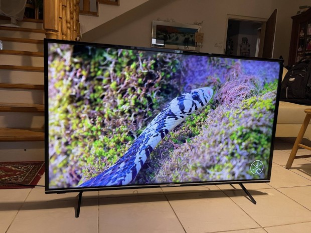 Medion 50" Okos TV