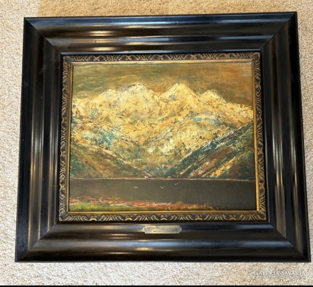 Medny�nszky L�szl� Magas T�tra