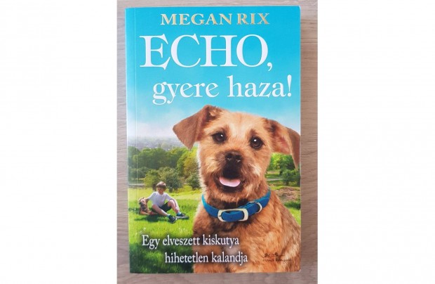 Megan Rix ECHO gyere haza ifjsgi knyv