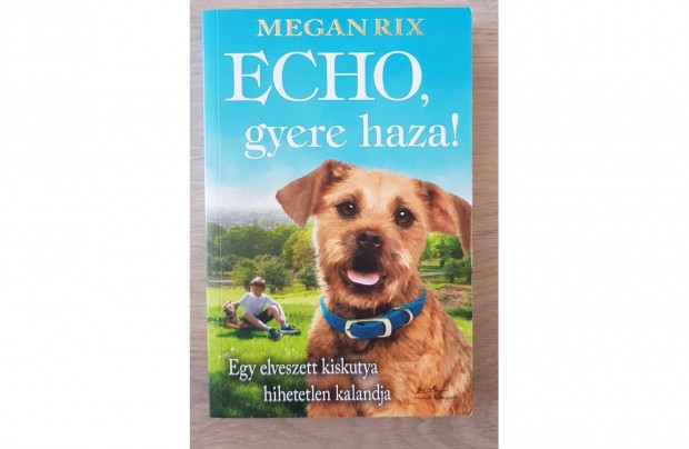 Megan Rix ECHO gyere haza ifjsgi knyv