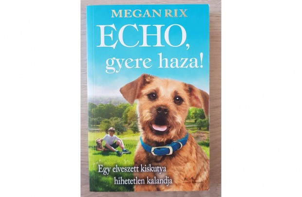 Megan Rix ECHO gyere haza ifjsgi knyv