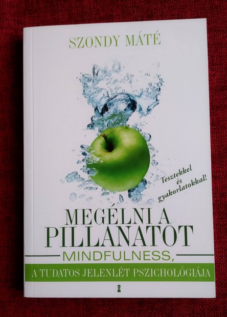 Meglni a pillanatot- Mindfullness Olvasatlan