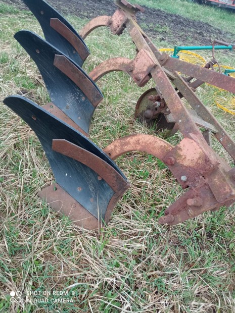 Meggyesi hatty�nyakas �gyeke elad� 