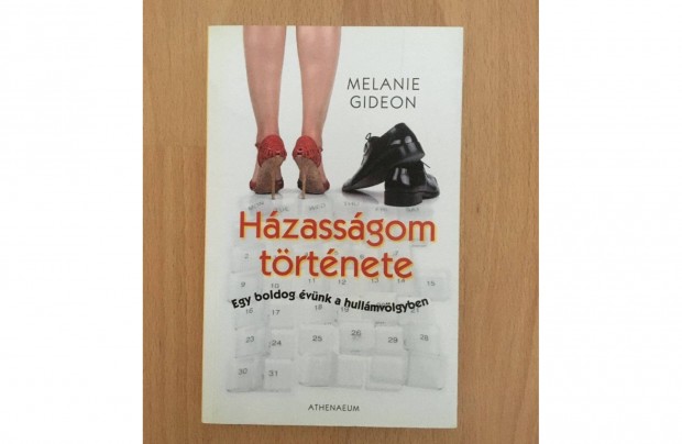 Melanie Gideon: Hzassgom trtnete