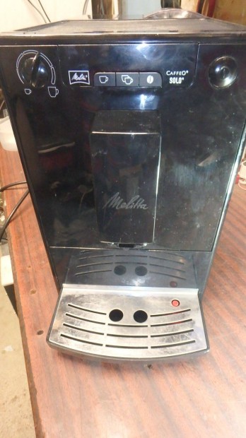 Melitta automata kvgp