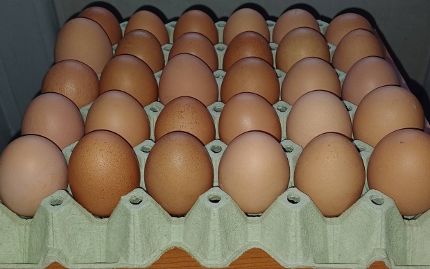 Mélyalmos házi tojás