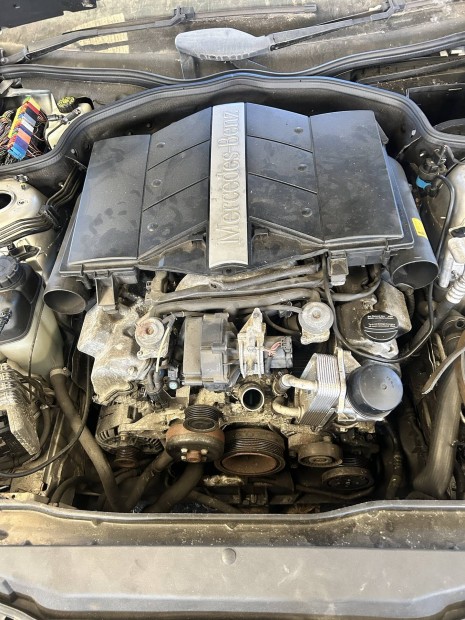 Mercedes Benz M273 5.0V8 motor