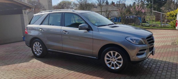 Mercedes-Benz ML 400 Blueefficiency (Automata)