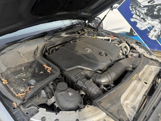 Mercedes Benz OM651921 250d 4Matic motor