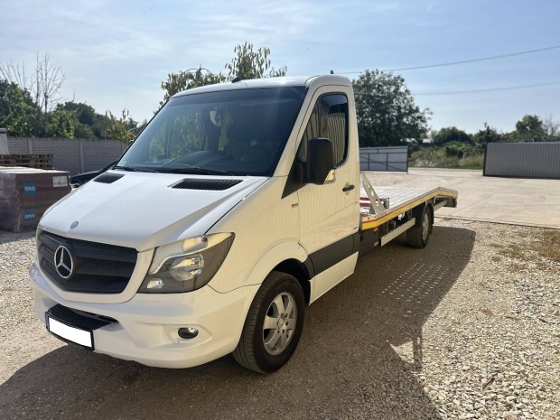 Mercedes-Benz Sprinter 319 CDI Bluetec 906.135....